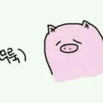[조언부탁해] 고민좀 들어주라..