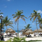 [홀란드여자] 스웨덴&amp;네덜란드인 남자친구의 깜짝 여행 선물