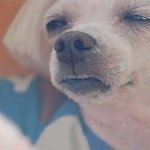 [EXO] 시발 얘 누구지