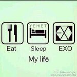 [EXO] 내<b>친구</b>가첫콘갔다왔는데