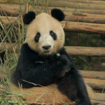 <b>니</b>네<b>번호</b>따여봤어?
