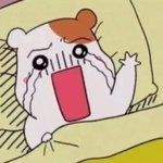 [조언부탁] 씨씨인데 조언좀주세요ㅠㅠ