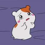 <b>재수</b> <b>조언</b>좀해줄분ㅠㅠㅜ??흙