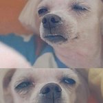 [EXO] 고민좀들어줘