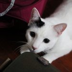 <b>둘리</b>&amp;공실이에요~