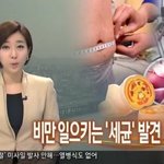 물만 마셔도 살찌게 만드는 세균