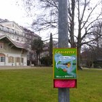 [댓글부탁] 개를 데리고 밖에 나오지 말라는 아주머니