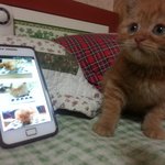 [<b>순금</b>순금] <b>순금</b>이는 캣쵸딩
