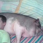 이거야말로 남자들이알아야할 여성의 실체이자 진실이다