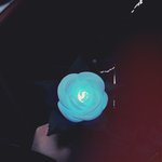[EXO] 얘들아 나9<b>구역</b>3열인데 꽃줘도됨?