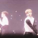 [EXO] 만약 외국콘갔는데
