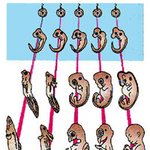 진화론을 믿을것인가 창조설을 믿을것인가.