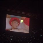 [타오] 타오가 보고싶다