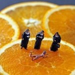 놀랍고 신기한 <b>미니어처</b> 세계