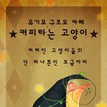 [유기묘] (희망해)유기묘카페 커피타는 고양이를 도와주세요.