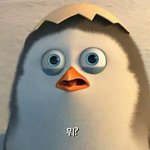 [EXO] 이씨발정상인들좀들어와봐 안억울함?