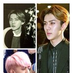[EXO] <b>세뇌</b>형 존못미남