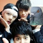 [EXO] 카줌병신들 악개짓 걸렸으면 당연히 까여야지 