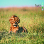 [백현] 백현이 머릿결