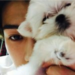 [EXO] 우리반애들 하나같이 엘도라도칭찬함