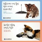 [콜로라도] 뭔가 귀여운 부산<b>지하</b>철역 광고판