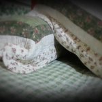 [순금순금] 냥이 스릴러 영화.... '숭<b>금이</b>'