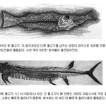 ## 충격 진화론의 <b>허구</b> ###
