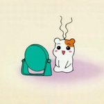 [드루와] 다들 어디살아??
