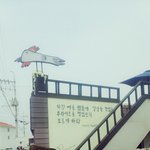[EXO] <b>제주</b>도 치킨집ㅋㅋ