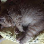 [순금순금] 순금순금순금순금순금~ :)