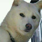 [댓글부탁해] 얘들아 너희는 새<b>학년</b> 올라가면