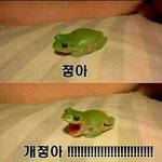 [EXO] 우리가 음마낀거고 존나 망상하면서 확대해석 하는거면