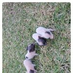 남자들필독 <b>철벽</b>녀를 대하는방법