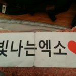 [EXO] 나 스탠딩 펜스3번째에 있었는데 슬로건 