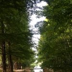 [궁금해요] 양변기 물<b>내림</b>. 손으로 내리세요 발로 내리세요?