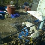 나주 할머니 보호소를 도와주세요