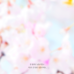 [EXO] 야 준면이 명언 <b>배사</b> 만들어봤음