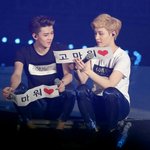 [EXO] 누가 콘서트에서 박수를치냐곸ㅋㅋㅋㅋㅋ