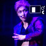 [EXO] 근데 콘서트 나이대 의외로 좀 높은 듯
