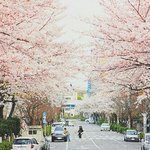 [헬프미] 언니들ㅠㅠ 영어 해석좀ㅠㅠ