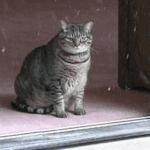 나에겐 <b>봄이</b>아닌 아직 겨울이네