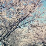 [<b>미래</b>] 안녕^^내가 <b>미래</b>를 알려줄까?