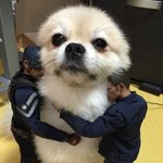 [19] 일반인 친구랑 키스하기