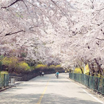 <b>봄이</b>긴 <b>봄</b>인가봐