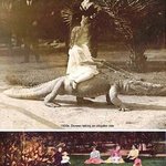 [콜로라도] 100여년전 외국의 <b>부호</b>들이 자녀에게 해준 인기선물.....