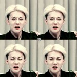 [EXO] 짹째기는 트9친이 꼭 필요함?
