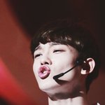 [EXO] 니네는 엑소 전체<b>직캠</b>보면 최애보냐
