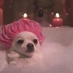 [EXO] 갑자기 뭔가 그런기분듬 니네도그럼?