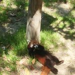 오후