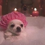 [EXO] <b>종교적</b>인 궁예는 오바인거같음ㅋㅋㅋ